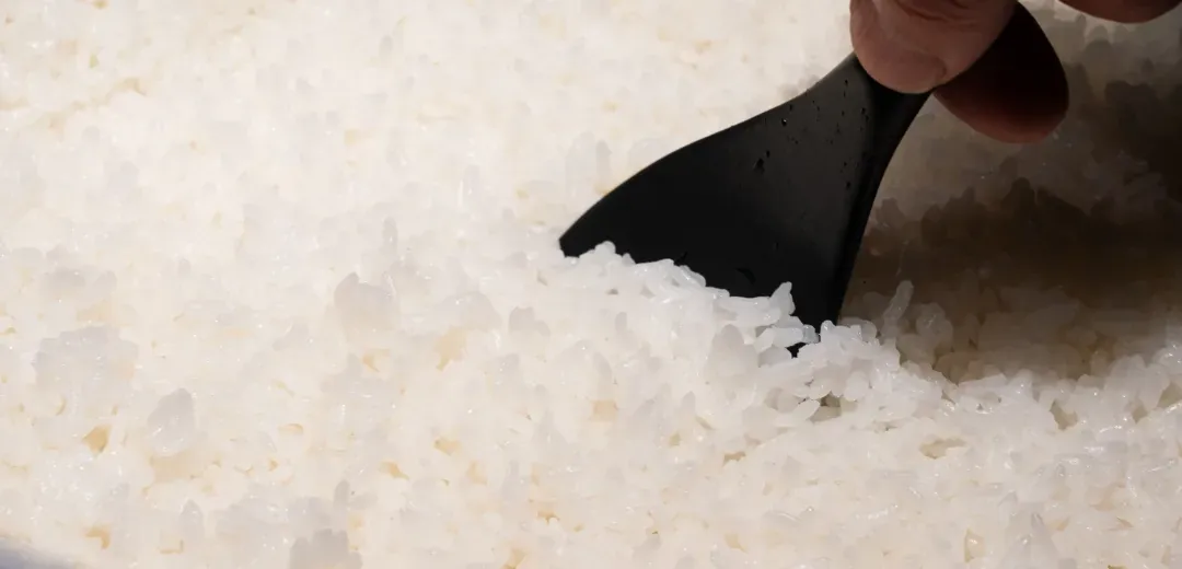 ご飯をよそう様子