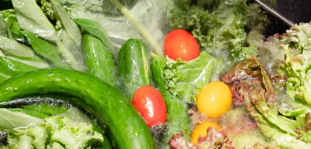 みずみずしい葉野菜とカラフルなミニトマト